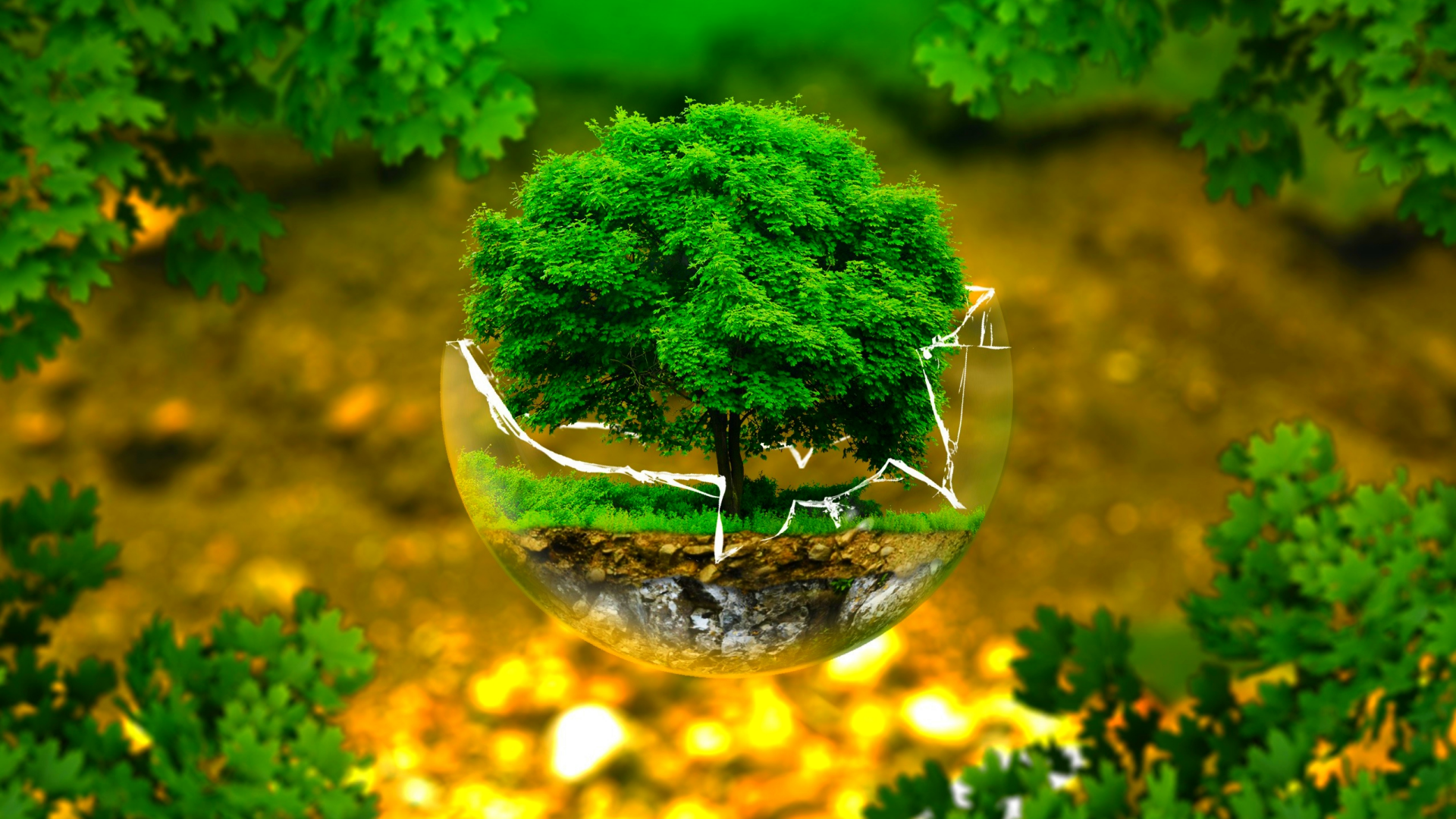 Environment