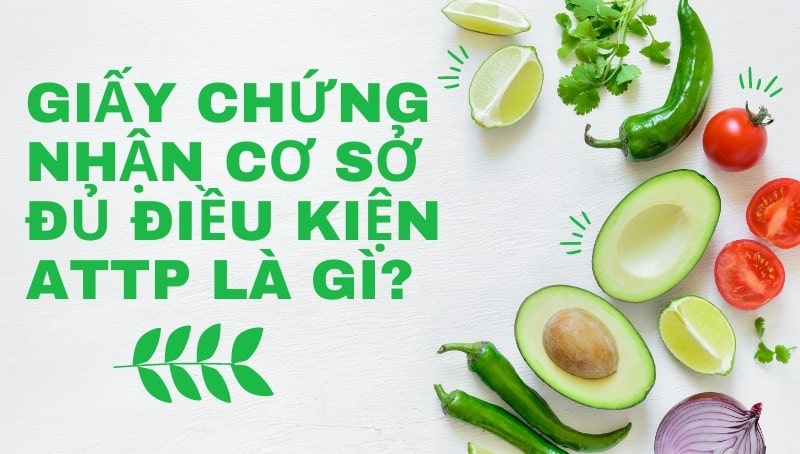 TƯ VẤN GIẤY CHỨNG NHẬN CƠ SỞ ĐỦ ĐIỀU KIỆN VỆ SINH AN TOÀN THỰC PHẨM