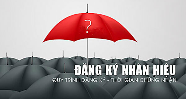 Những nội dung cần sửa đổi bao gồm các mục nào?-Tờ khai sửa đổi đơn đăng ký nhãn hiệu-nplaw.vn